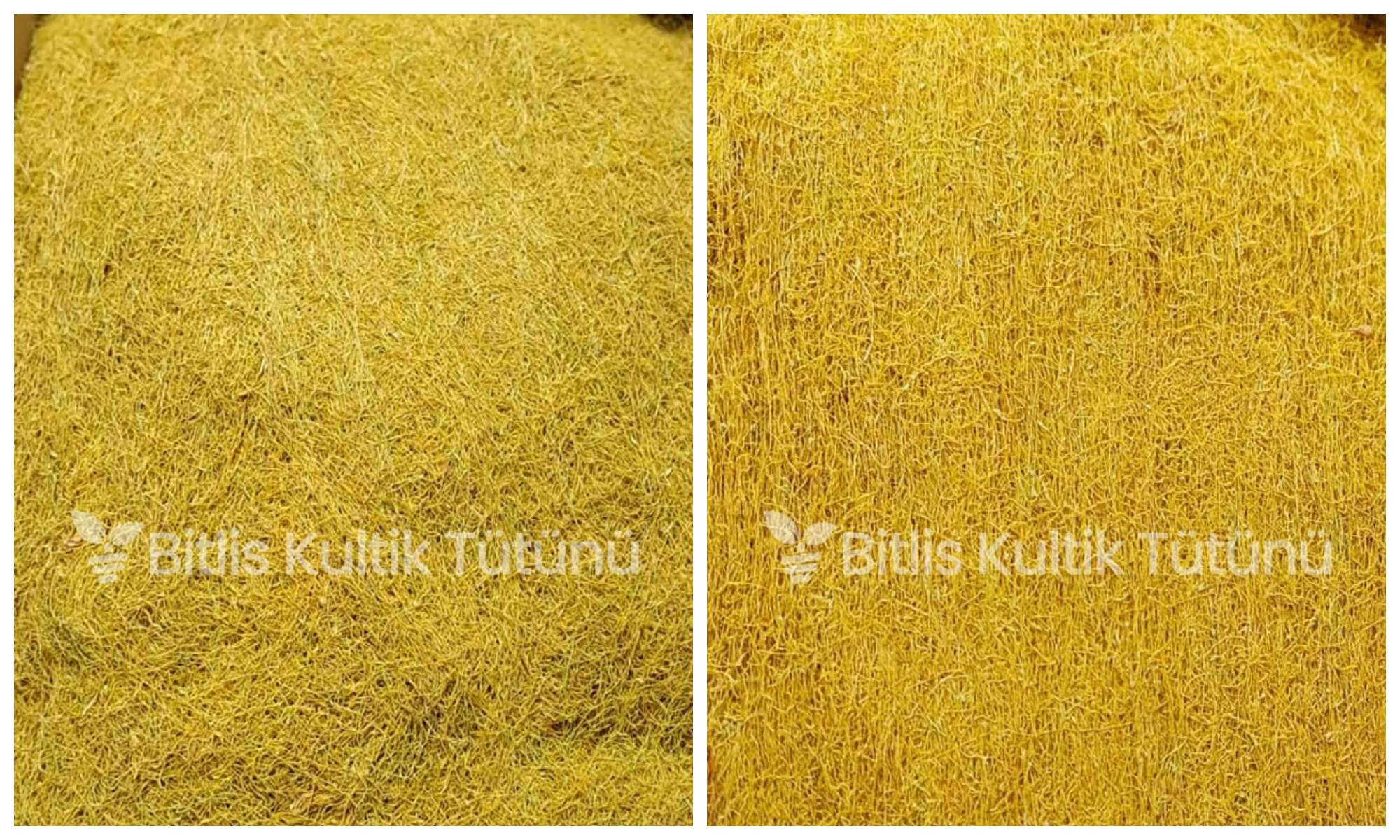 agri-bitlis-tutunu
