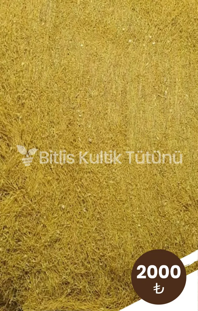 kultik-hafif-icim-tutun