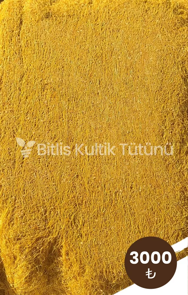 kultik-ozel-orta-icim-tutun