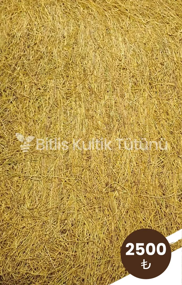 kultik-orta-hafif-icim-tutun